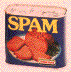 SPAM!